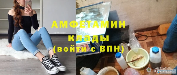 прущие грибы Медвежьегорск