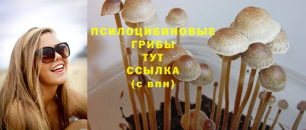 прущие грибы Медвежьегорск