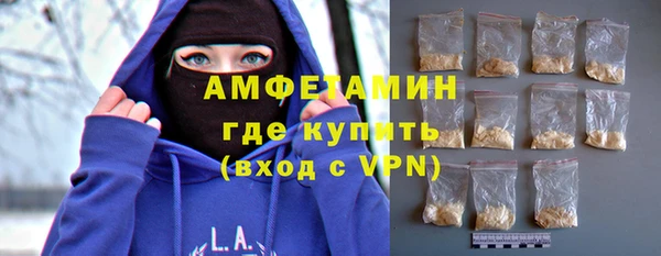 прущие грибы Медвежьегорск