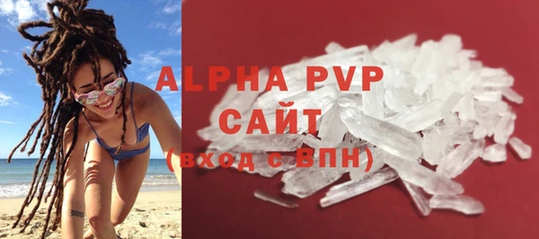 прущие грибы Медвежьегорск