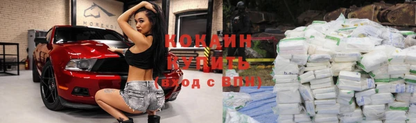 шишки Медногорск