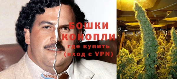 ешки Мегион