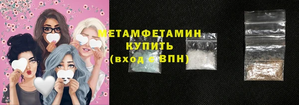 прущие грибы Медвежьегорск