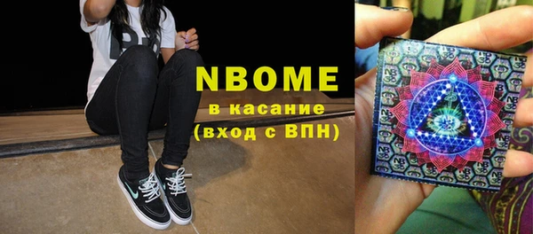 шишки Медногорск