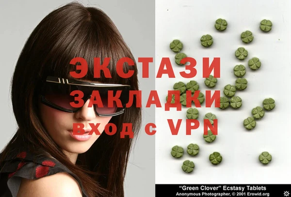 прущие грибы Медвежьегорск