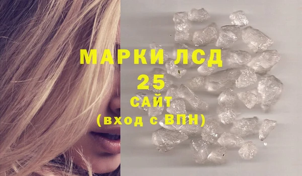 прущие грибы Медвежьегорск