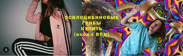 прущие грибы Медвежьегорск