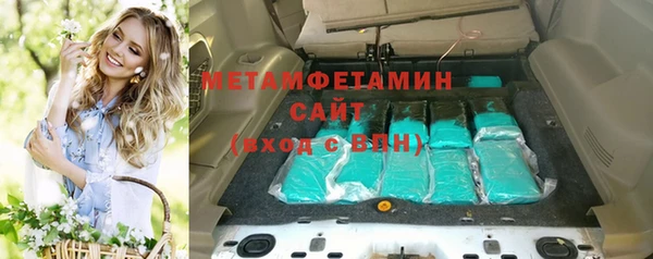 прущие грибы Медвежьегорск