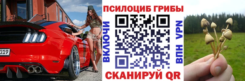 ссылка на мегу онион  Туапсе  Галлюциногенные грибы Psilocybine cubensis 